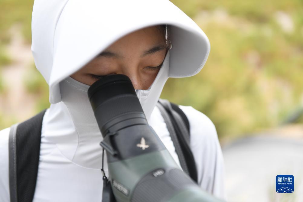 开心街机捕鱼